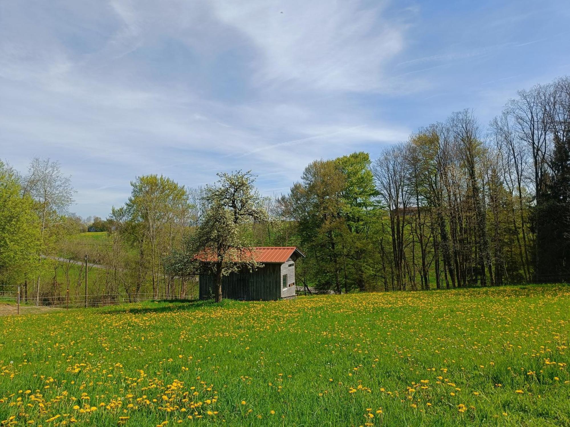 Berghof-Glueck Lägenhet Kaufbeuren Exteriör bild
